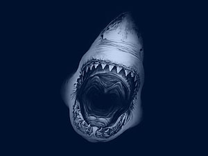 Megalodon Shark With Open Mouth And Sharp Teeth In Dark Deep Ocean Water HD wallpaper