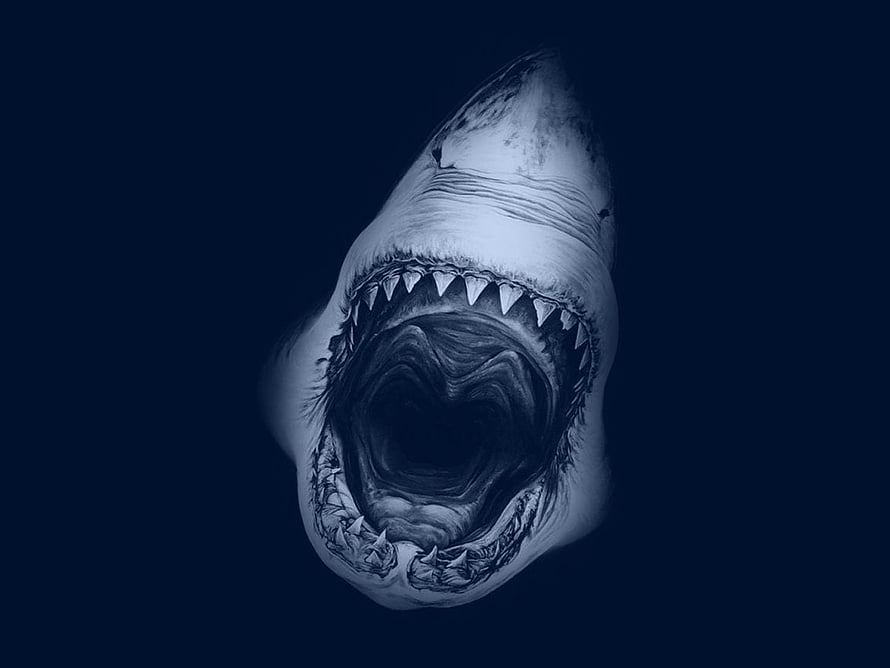 Megalodon Shark With Open Mouth And Sharp Teeth In Dark Deep Ocean Water HD wallpaper