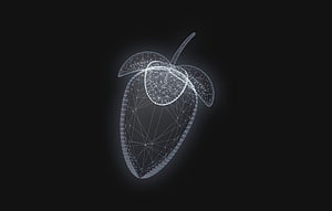FL Studio 20 Logo Wireframe Design on Dark Background HD wallpaper