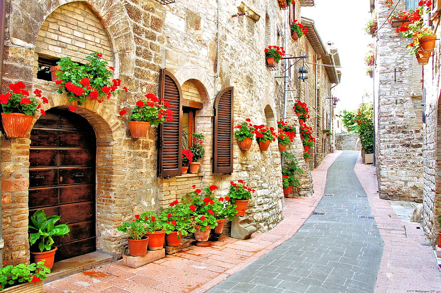 Charming Italian Stone Alleyway Lined With Vibrant Red Geraniums In Terracotta Pots HD wallpaper