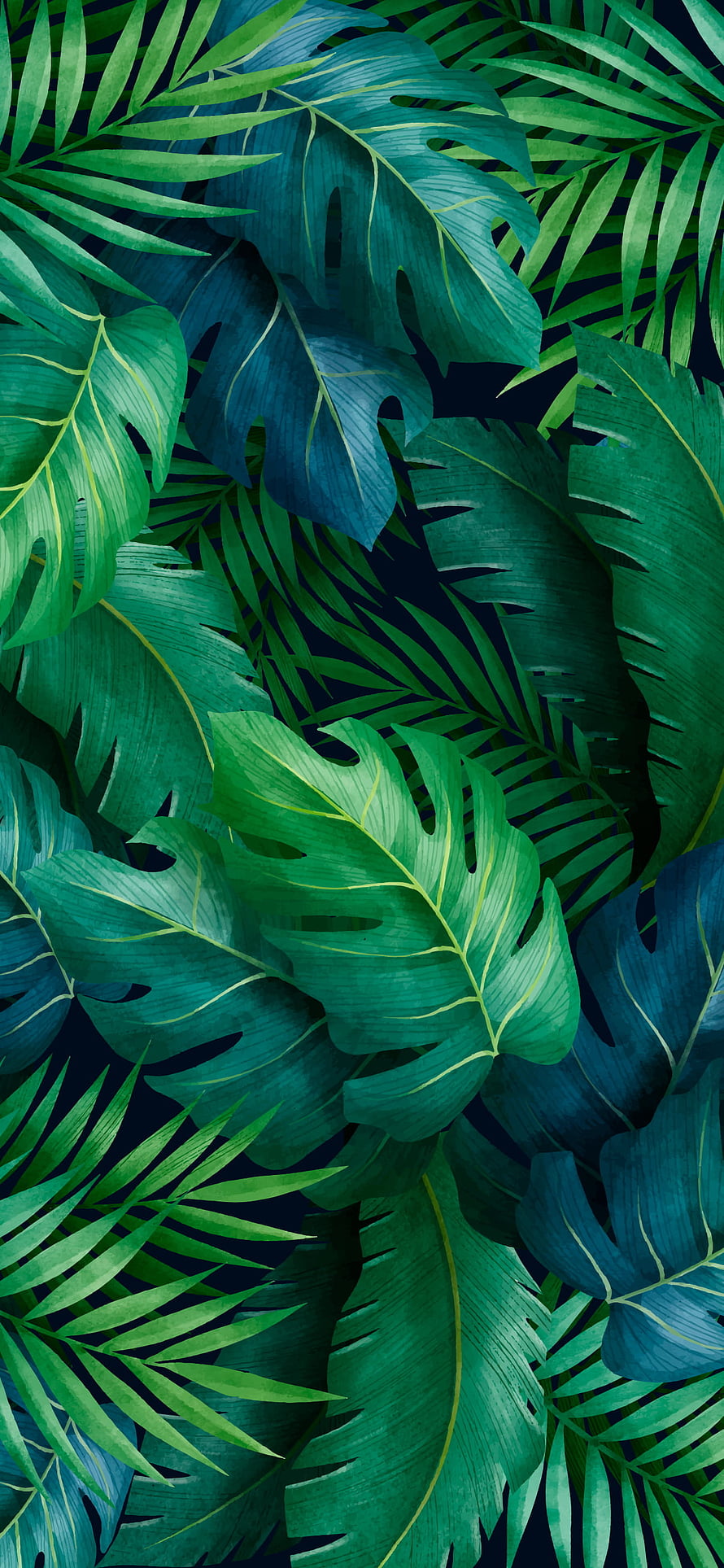 Lush Tropical Monstera and Palm Leaf Pattern on Dark Background HD phone wallpaper