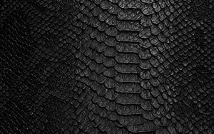 Black Snake Skin Texture Close-Up with Detailed Scales and Dark Organic Pattern HD wallpaper