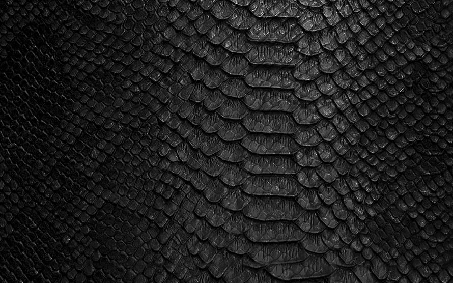 Black Snake Skin Texture Close-Up with Detailed Scales and Dark Organic Pattern HD wallpaper