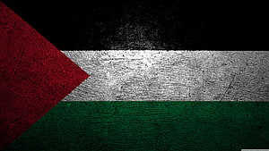 Palestine National Flag With Distressed Grunge Texture And Bold Color Bands HD wallpaper