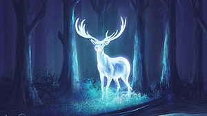 Glowing White Stag in Mystical Blue Forest Fantasy Digital Art HD wallpaper