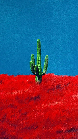 Saguaro Cactus Rising from Vibrant Red Grass Under a Deep Blue Sky HD phone wallpaper