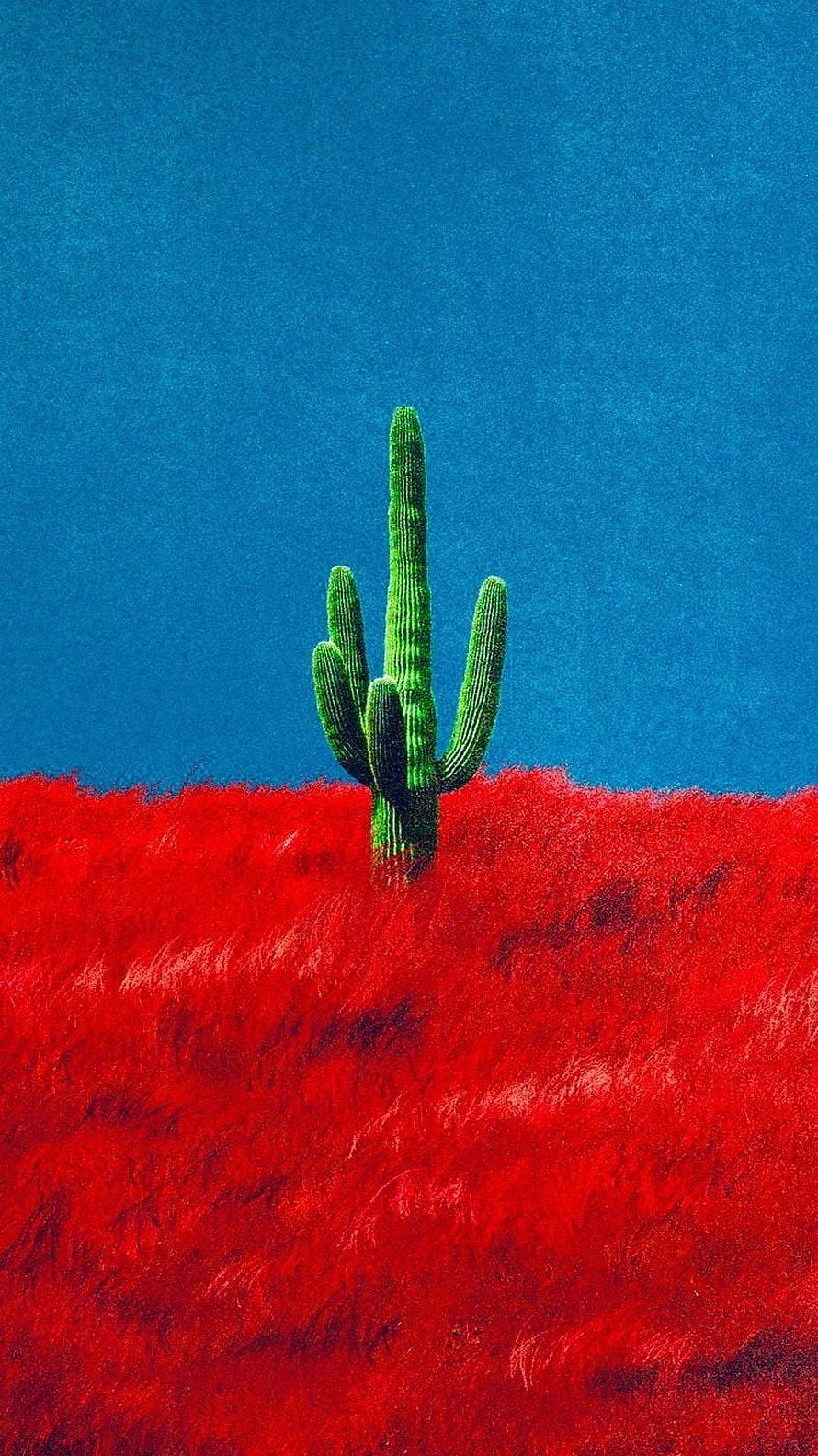 Saguaro Cactus Rising from Vibrant Red Grass Under a Deep Blue Sky HD phone wallpaper