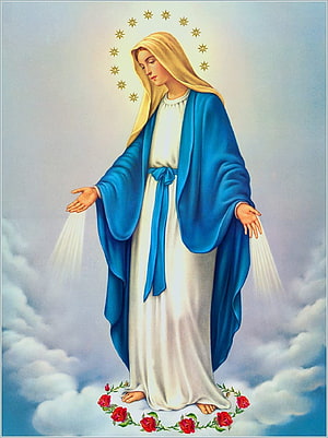Immaculate Conception Virgin Mary Religious Artwork with Halo of Stars and Roses HD phone wallpaper
