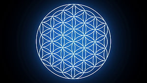 Sacred Geometry Flower of Life Pattern in White Lines on a Deep Blue Background HD wallpaper