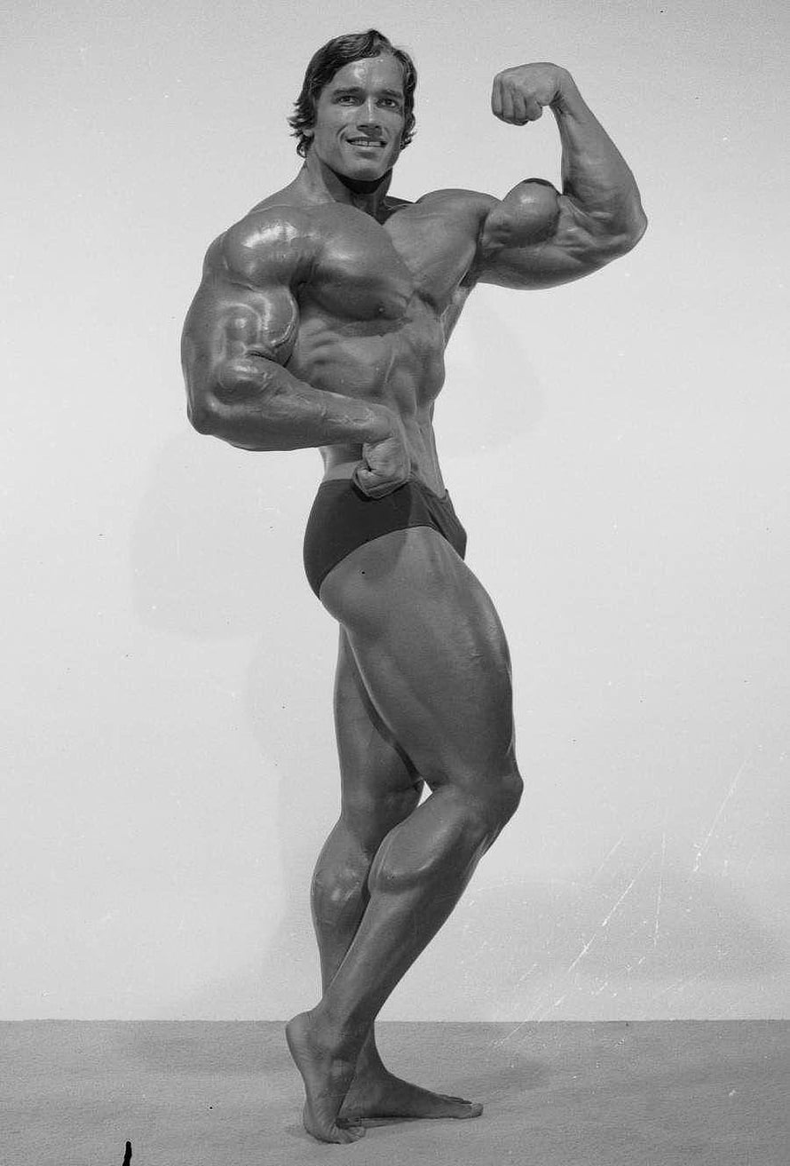 Arnold Schwarzenegger Classic Bodybuilding Pose in Black and White HD phone wallpaper