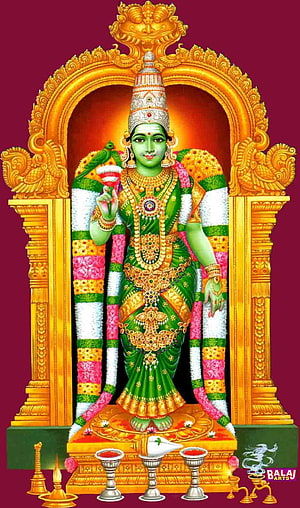 Madurai Meenakshi Amman Temple Deity Portrait in Traditional Attire, Madurai meenakshi Amman, #amman HD phone wallpaper