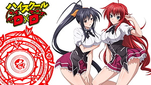High School DxD anime illustration featuring Rias Gremory and a black-haired girl in school uniforms HD wallpaper
