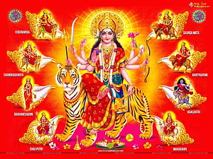 Nav Durga Maa with Nine Forms of Goddess Durga Riding a Tiger HD wallpaper