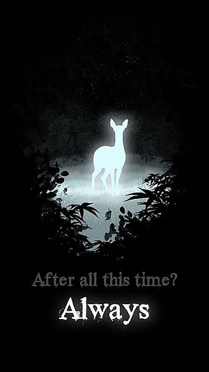 Harry Potter Always Quote with Glowing Deer Silhouette in Dark Forest HD phone wallpaper