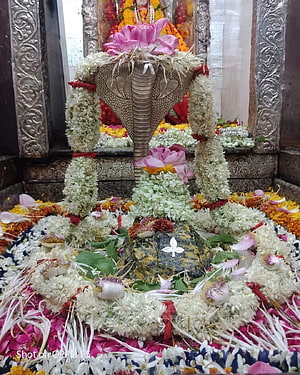 Omkareshwar Jyotirlinga Shiva Lingam adorned with floral garlands and lotus offerings HD phone wallpaper