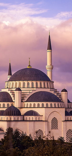 Grand Mosque with Minarets and Domes Under a Pink Sunset Sky HD phone wallpaper
