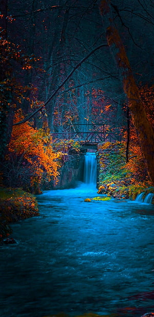 Mystical Autumn Forest Stream with Small Waterfall and Wooden Bridge HD phone wallpaper
