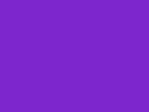 Solid Purple Color Background with Minimalist Flat Design HD wallpaper