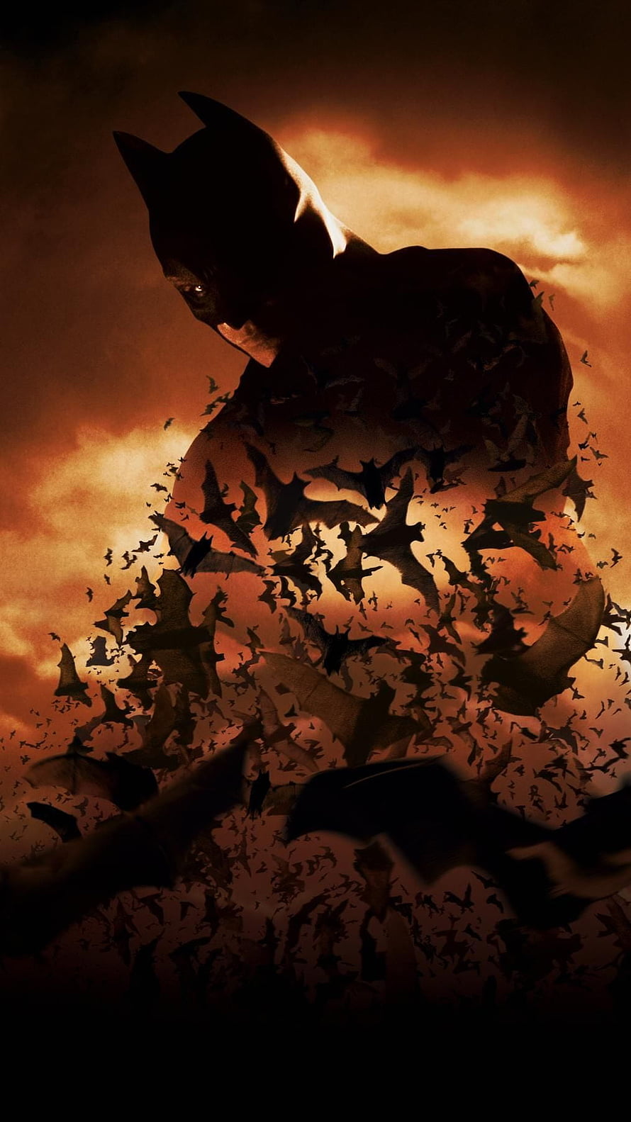 Batman Begins Cinematic Poster Featuring Dark Knight Silhouette and Swarming Bats Against Fiery Sky HD phone wallpaper
