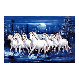Seven White Horses Wading Through a Moonlit Forest Stream at Night HD phone wallpaper