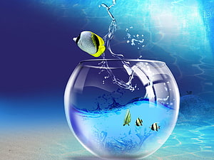 Spherical Glass Fishbowl with Leaping Tropical Fish and Water Splash HD wallpaper