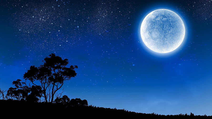Full Moon Over Silhouetted Trees Under a Deep Blue Starry Night Sky HD wallpaper