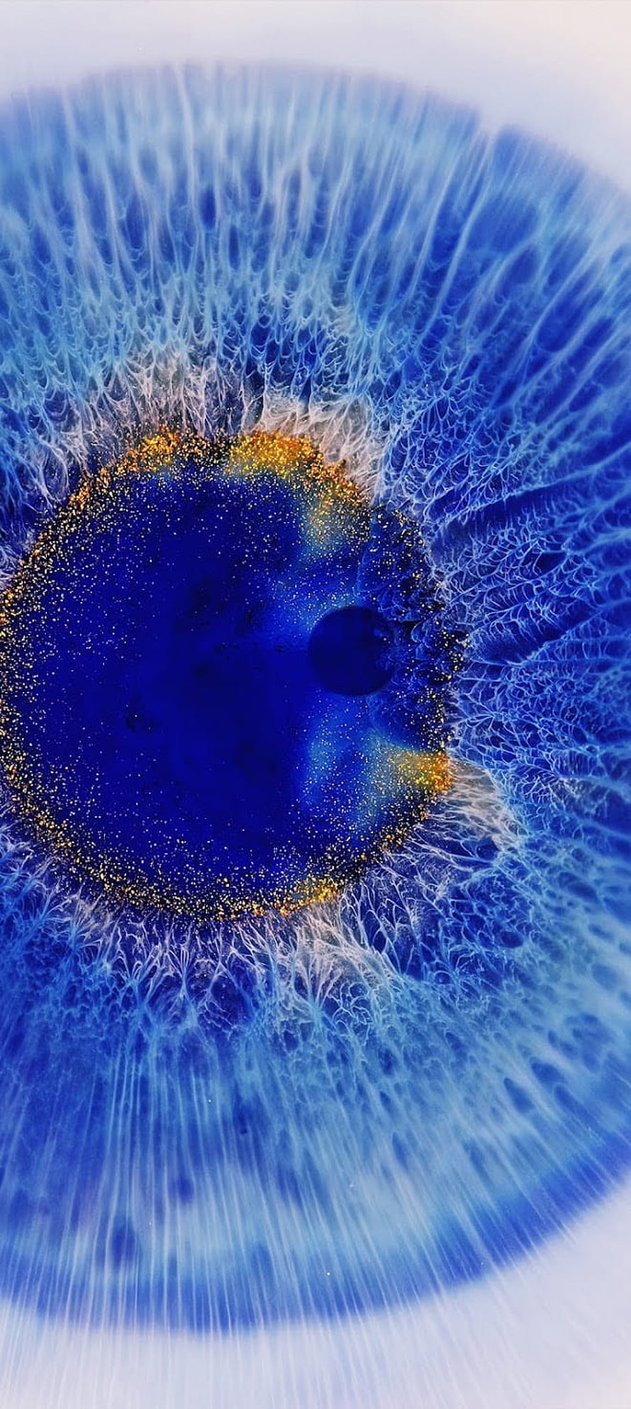 Extreme Macro of a Blue Human Iris with Golden Flecks and Intricate Radial Fiber Patterns HD phone wallpaper