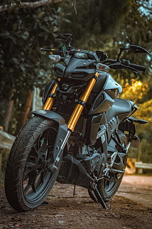 Modified Yamaha MT-15 Motorcycle with Gold Forks in Forest Setting HD phone wallpaper