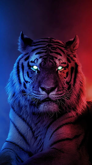 Majestic Tiger Portrait with Glowing Eyes and Neon Blue Red Lighting HD phone wallpaper