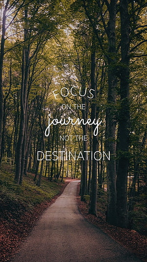 Inspirational Forest Path Quote: Focus on the Journey Not the Destination HD phone wallpaper