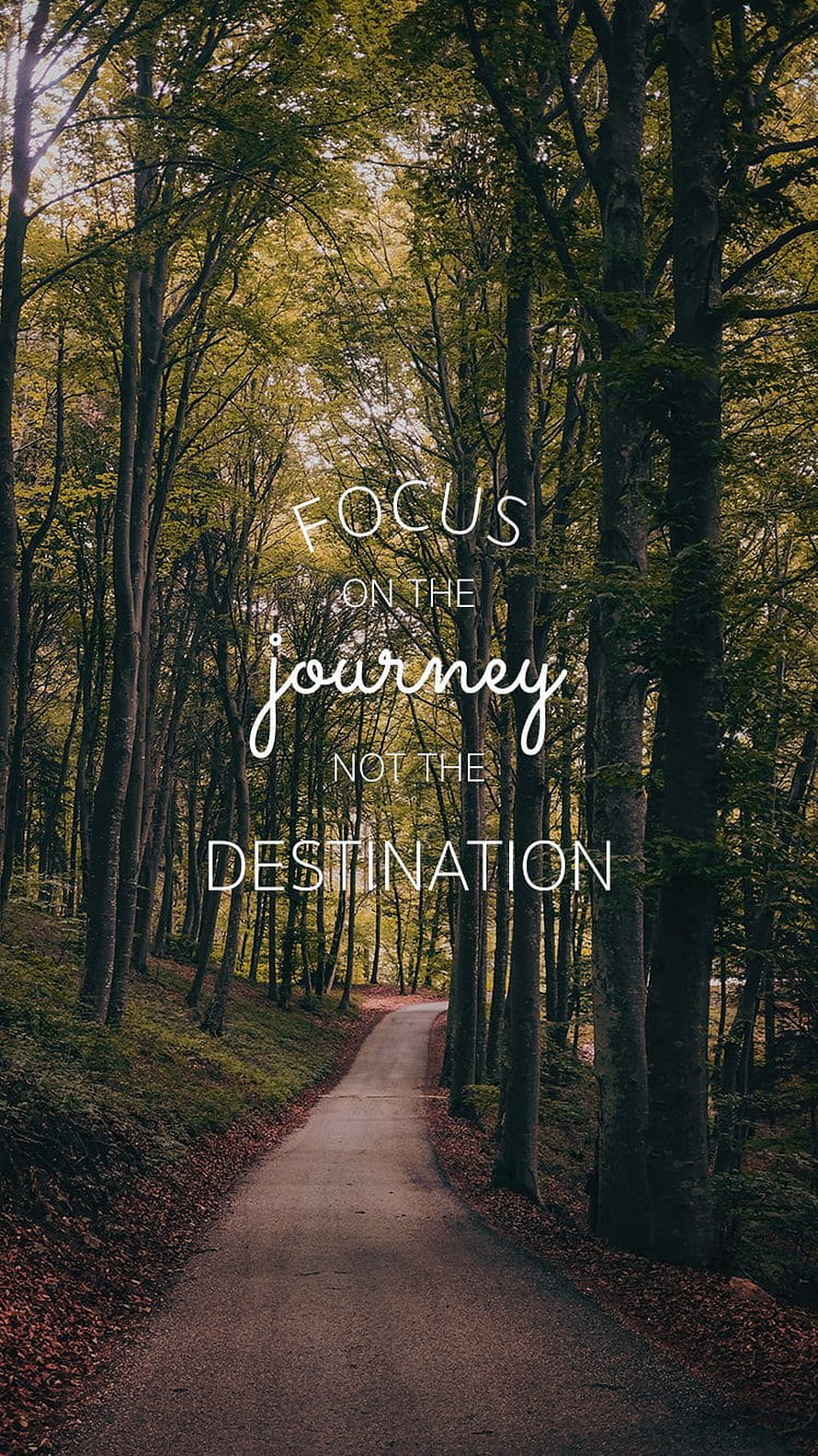 Inspirational Forest Path Quote: Focus on the Journey Not the Destination HD phone wallpaper
