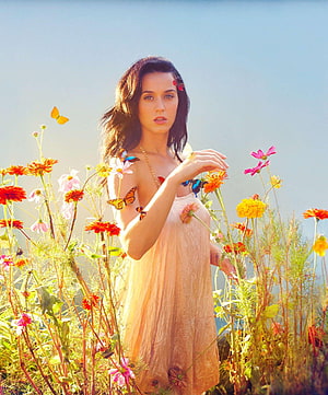 Katy Perry in a flowing peach dress surrounded by wildflowers and butterflies in a sunlit field HD phone wallpaper