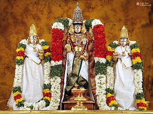 Lord Venkateswara Swamy at Tirumala Temple with Flower Garlands and Golden Crown HD wallpaper