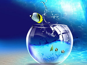 Spherical Glass Bowl with Leaping Tropical Fish and Dynamic Water Splash HD wallpaper