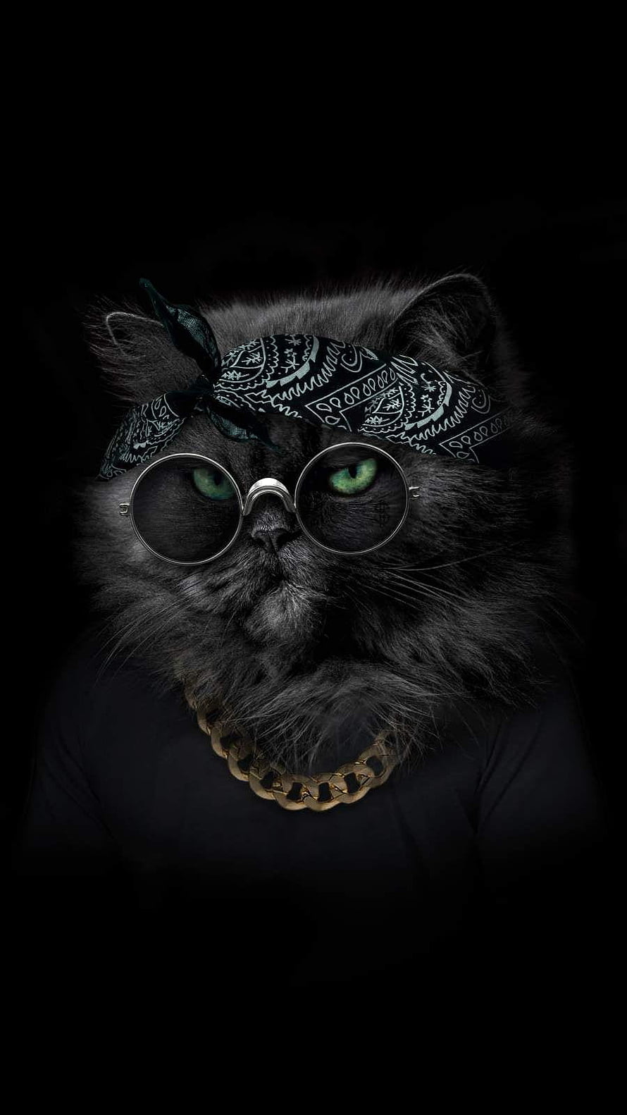Stylish Black Persian Cat Wearing Round Glasses and a Patterned Bandana HD phone wallpaper