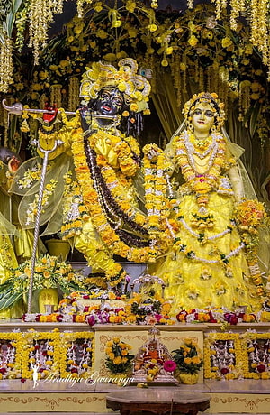 ISKCON Mayapur Krishna and Radha Deities Adorned in Yellow Marigold Garlands HD phone wallpaper