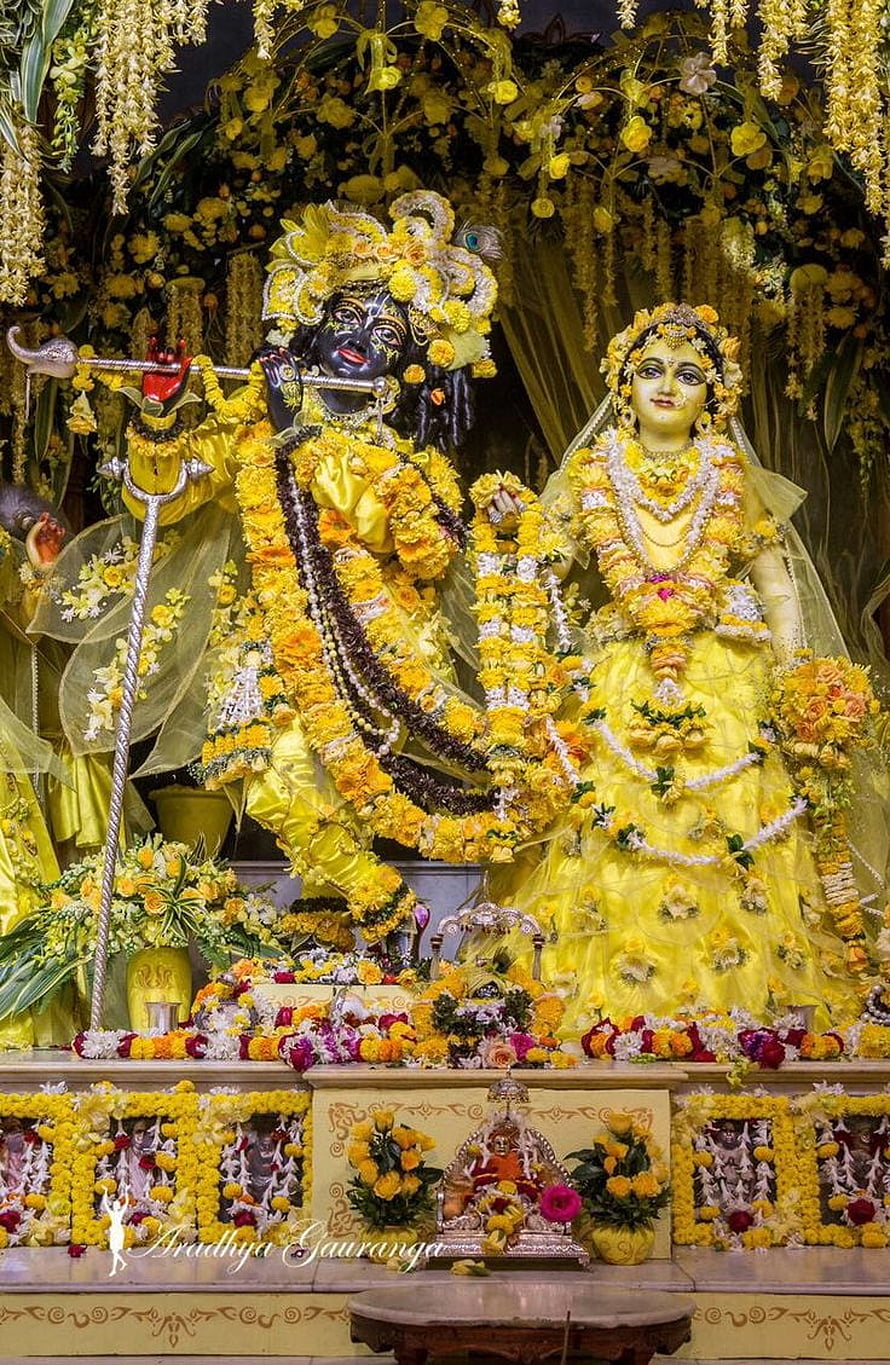 ISKCON Mayapur Krishna and Radha Deities Adorned in Yellow Marigold Garlands HD phone wallpaper