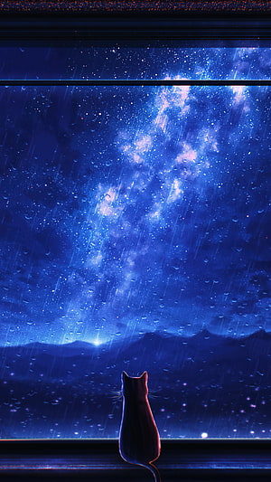 Silhouette of a Cat Gazing at the Milky Way Through a Rainy Window at Night HD phone wallpaper