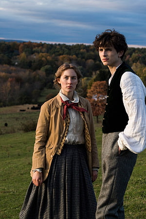 Saoirse Ronan and Timothée Chalamet in period costumes on a rural hillside in Little Women HD phone wallpaper