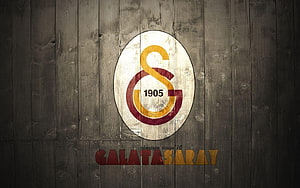 Galatasaray 1905 Club Crest on Rustic Dark Wood Plank Background HD wallpaper