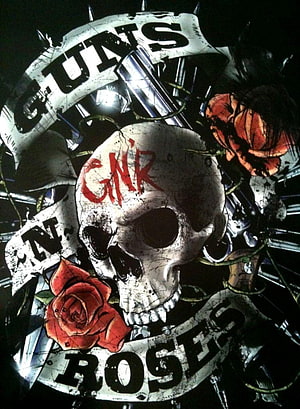 Guns N Roses Skull and Roses Rock Artwork HD phone wallpaper