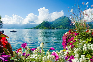 Vibrant Alpine Lake Landscape With Colorful Flowers And Mountain Peaks HD wallpaper