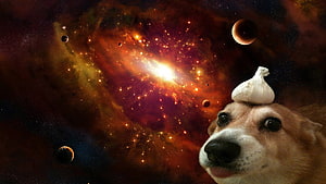 Shiba Inu with Garlic Head in Cosmic Nebula and Planets HD wallpaper
