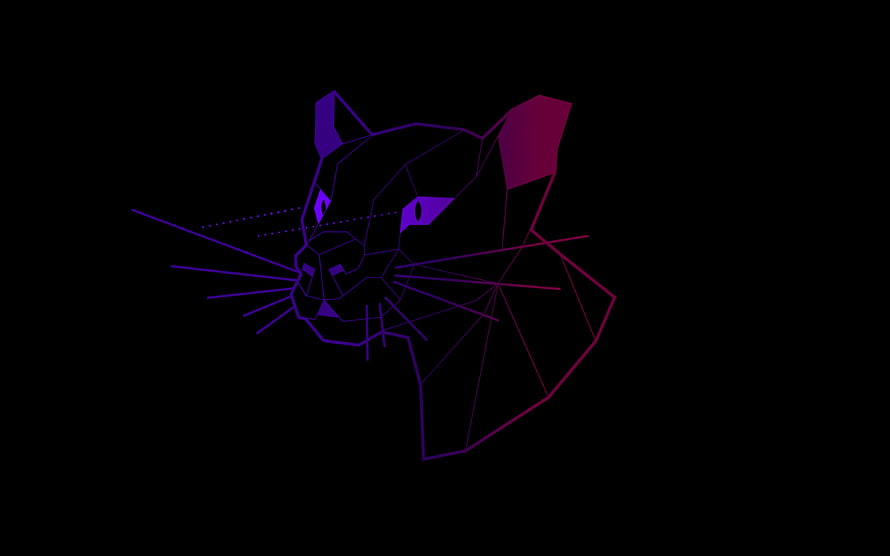 Ubuntu 20.04 Focal Fossa Wireframe Cat Logo on Black Background HD wallpaper