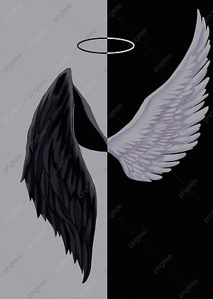 Split Angel and Devil Wings with Halo on Black and White Background HD phone wallpaper