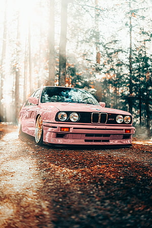 Pink BMW E30 M3 Sedan Parked on a Forest Trail with Golden Wheels HD phone wallpaper