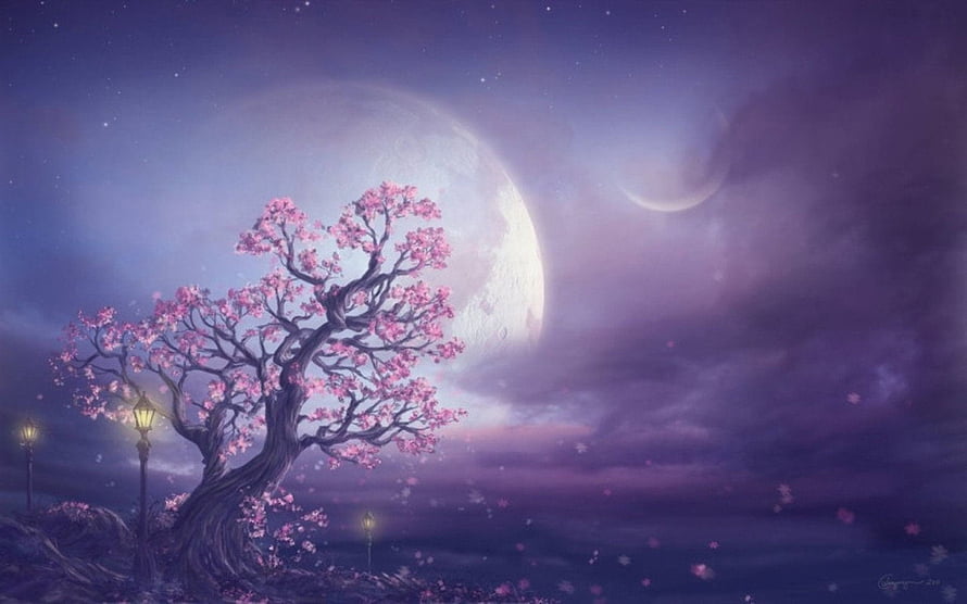 Dreamy Cherry Blossom Tree Under a Giant Moon in a Fantasy Night Sky HD wallpaper