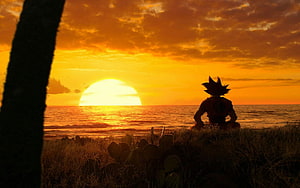 Goku Silhouette Watching Sunset Over Ocean in Dragon Ball Z Anime Scene HD wallpaper